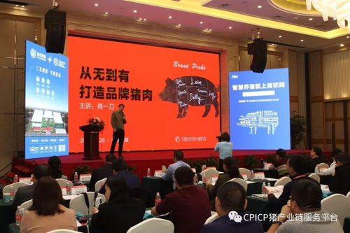 肖一刀 从无到有,打造猪肉品牌丨2018第三届中国猪产业链生态圈年会